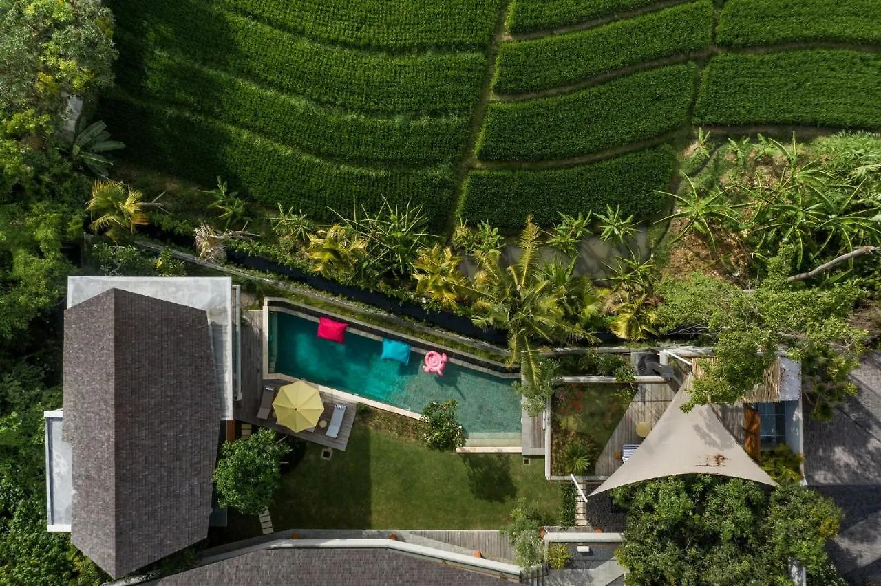Villa Kimaya - 5-Bed Berawa Luxury Villa With Complimentary Pool Fence Canggu  0*, Canggu (Bali)